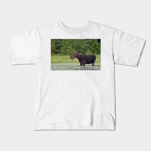 Canadian Moose, Algonquin Park, Canada Kids T-Shirt